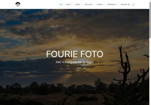 fouriefoto.com capture - 2025-09-23 07:21:18