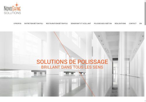 novoshinesolutions.com capture - 2025-09-23 13:29:13