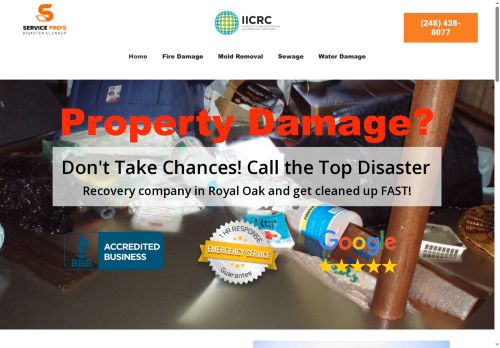 waterdamagerestorationroyaloak.com capture - 2025-09-23 22:12:20