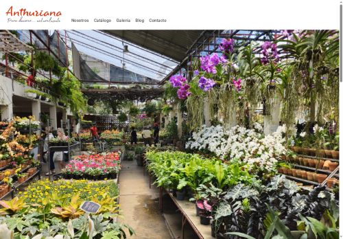 anthuriana.com capture - 2025-09-24 02:41:51