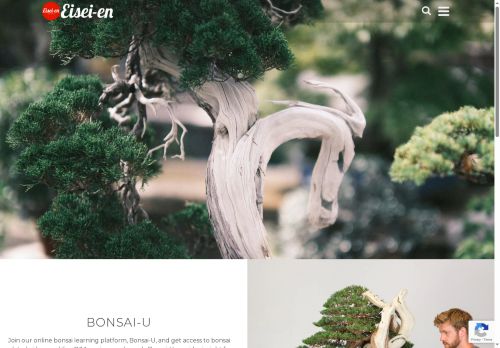 eisei-en.com capture - 2025-09-24 02:54:20