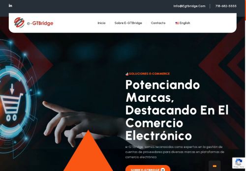 egtbridge.com capture - 2025-09-24 04:38:11