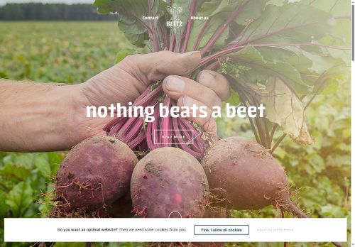 beetz-europe.com capture - 2025-09-24 05:06:58