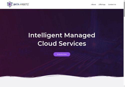 dataorbitz.com capture - 2025-09-24 18:46:09