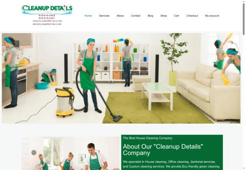 cleanupdetails.com capture - 2025-09-24 19:18:39