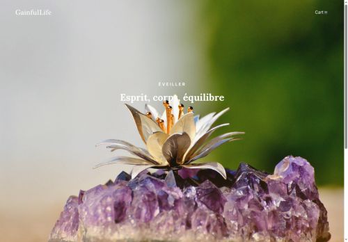 gainfullife.com capture - 2025-09-24 19:41:31