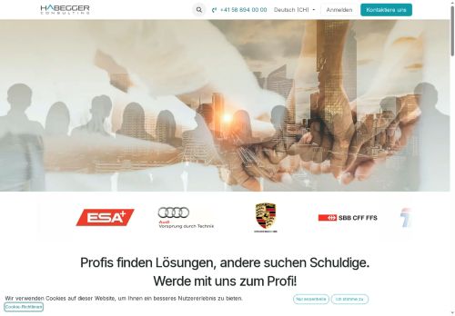 habeggerconsulting.com capture - 2025-09-24 19:57:07