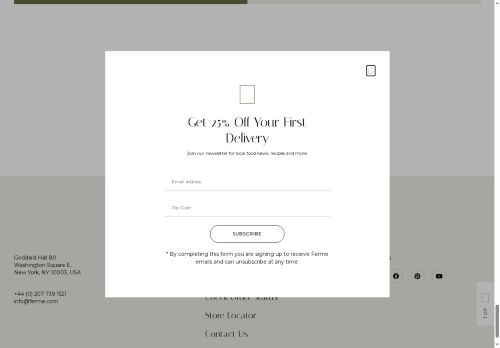 nadineart.com capture - 2025-09-25 04:57:08