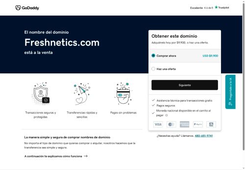 freshnetics.com capture - 2025-09-25 06:05:14