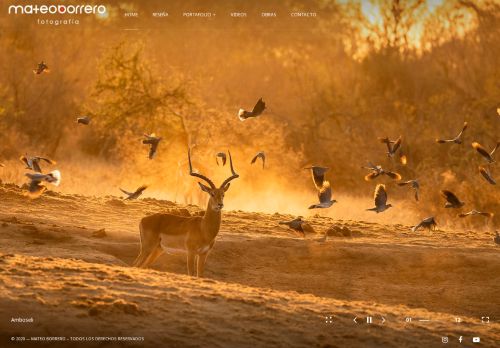 mateoborrero.com capture - 2025-09-25 11:47:30