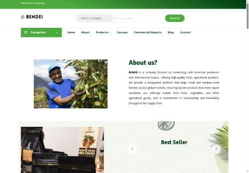 bendei.com capture - 2025-09-25 16:06:15