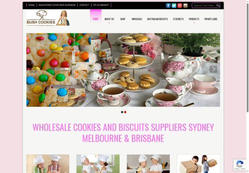 bushbikkies.com capture - 2025-09-25 17:01:48