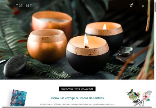 ysnay.com capture - 2025-09-25 18:36:38