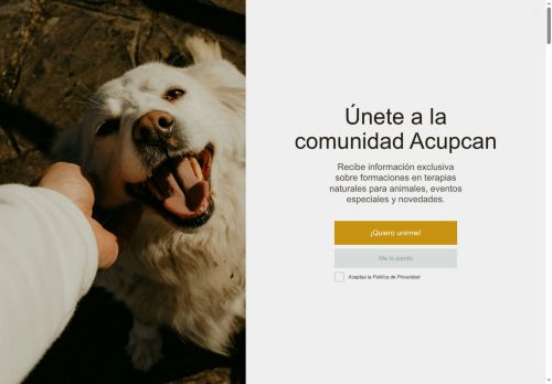 acupunturaperagossos.com capture - 2025-09-25 18:39:24