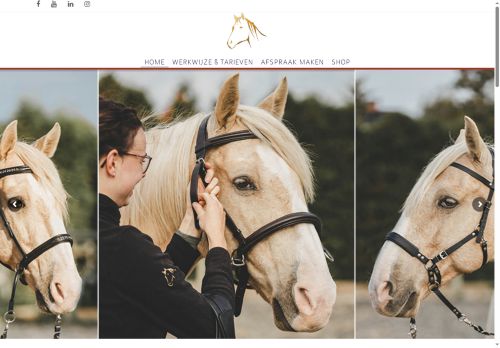 puurpaardenmens.com capture - 2025-09-25 20:58:23