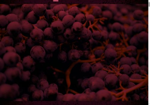 poordevilwines.com capture - 2025-09-25 23:21:02