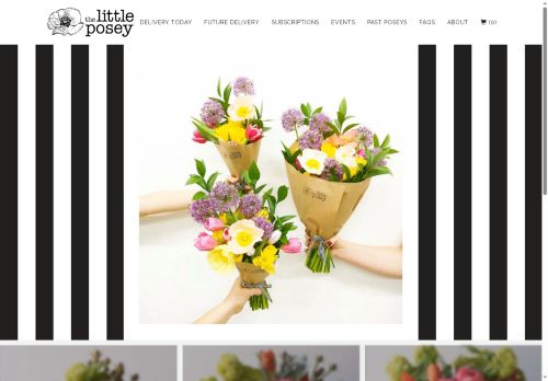 austintinyblooms.com capture - 2025-09-26 03:56:37