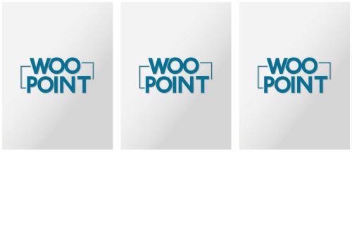 woopoint.com capture - 2025-09-26 09:03:51