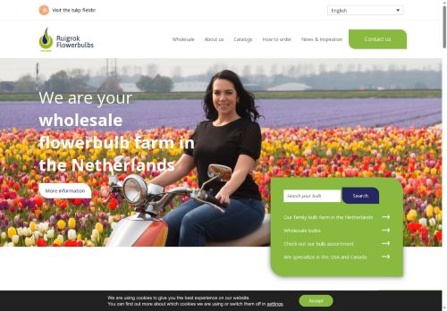 cjrbulbs.com capture - 2025-09-26 13:32:34