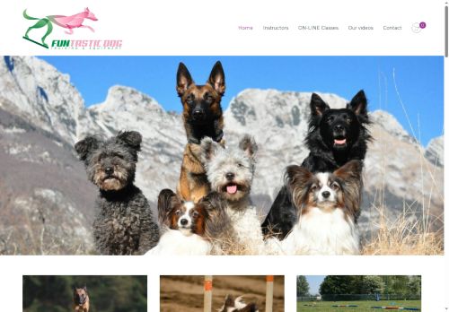 grrready2go.com capture - 2025-09-26 14:22:47