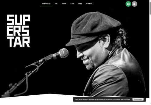 rayn-music.com capture - 2025-09-26 15:53:20