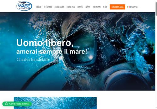 wasedive.com capture - 2025-09-26 17:24:44