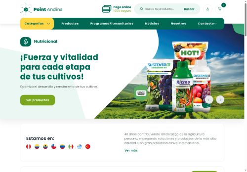 pointandina.com capture - 2025-09-26 19:03:00