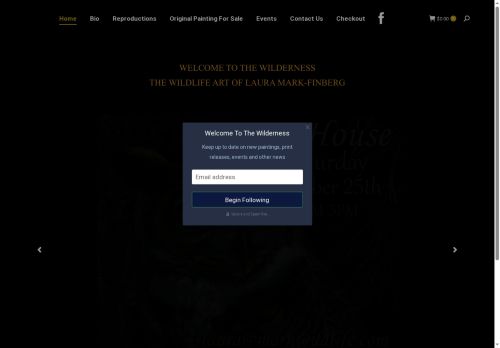 lauramarkfinberg.com capture - 2025-09-27 02:13:03