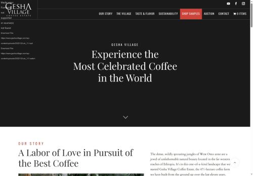 geishavillage.com capture - 2025-09-27 17:06:18