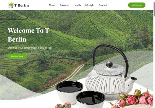 tberlin.com capture - 2025-09-27 22:09:06