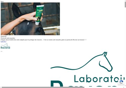 charleesleather.com capture - 2025-09-28 01:40:41