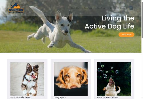 myactivedog.com capture - 2025-09-28 05:12:08