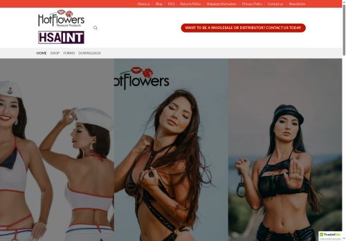 hsaint.com capture - 2025-09-28 05:29:39