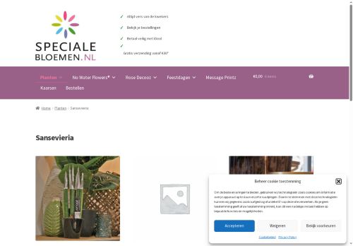 sansevieriavelvettouchz.com capture - 2025-09-28 08:14:00