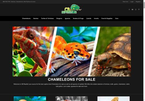 cbreptiles.com capture - 2025-09-28 08:42:02