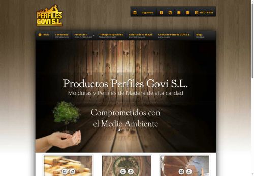 perfilesgovi.com capture - 2025-09-28 09:46:44