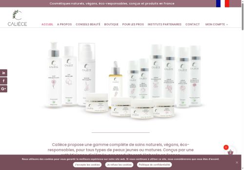 absolubienetre.com capture - 2025-09-28 10:12:28