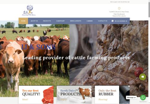 ijsons.com capture - 2025-09-28 14:49:15