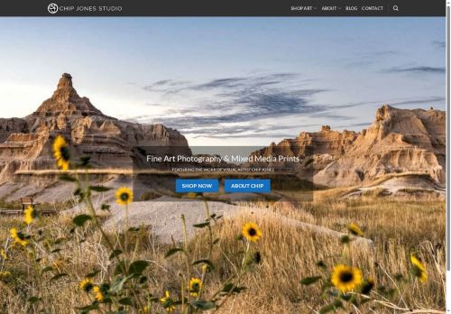 chipjonesartist.com capture - 2025-09-28 17:45:25