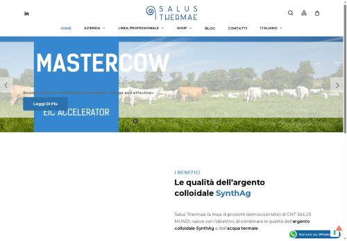 salusthermae.com capture - 2025-09-28 18:08:44