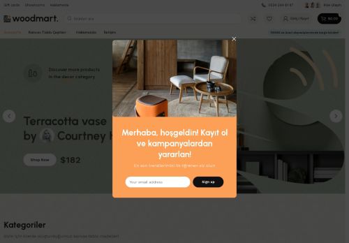 bursakanvastablo.com capture - 2025-09-28 18:47:22