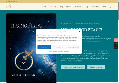 risingbirds.com capture - 2025-09-28 20:07:27