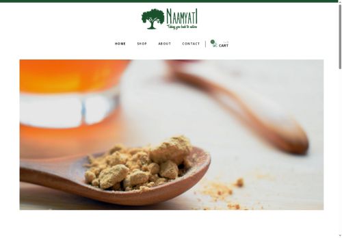 naamyati.com capture - 2025-09-28 21:34:26