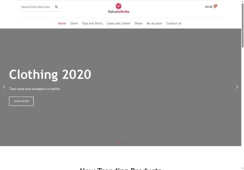 valueinfinite.com capture - 2025-09-28 23:47:22