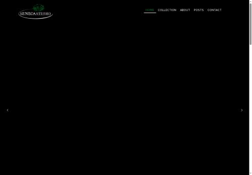 senecastudio.com capture - 2025-09-29 00:25:53