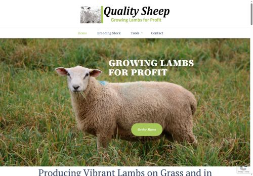 qualitysheep.com capture - 2025-09-29 03:03:34