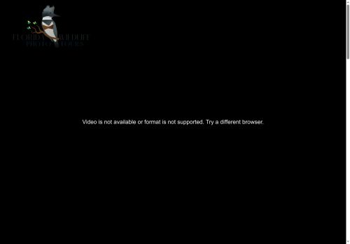 floridawildlifephototours.com capture - 2025-09-29 09:10:19