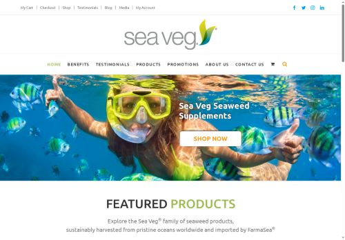 seavegg.com capture - 2025-09-29 11:57:12