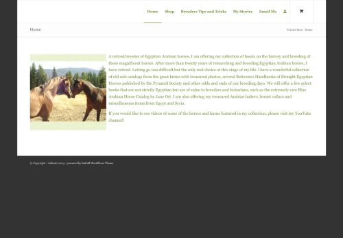 jaliisah.com capture - 2025-09-30 01:37:03