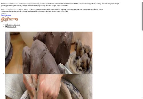 buffalonypottery.com capture - 2025-09-30 03:05:13